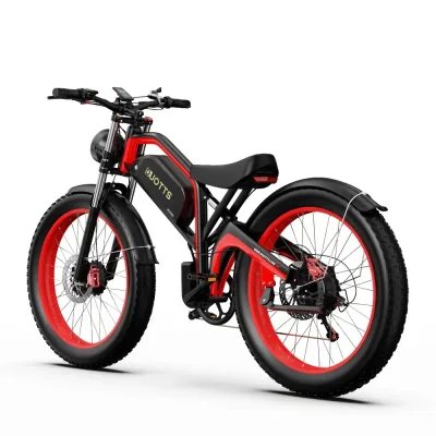 Vélo électrique adulte à pneus larges – image 3